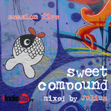 sweet compound session five - 90's indie