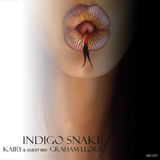 Indigo_Snake_013_on_MCast_September_2014_pt2_-_Graham_Lloris guest mix