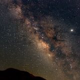 (10/04/2016) ο Ξένος Γ' παρέα με την (πάστα) Φλώρα.
