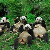ChillaxingMIx