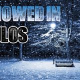 Snowed in chill house. 2.21.13