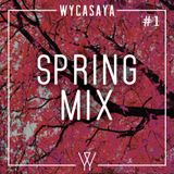 Spring Mix #1