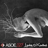A State Of Emergency 027 with LowKey & Kardinal (Ausnahmezustand rec)