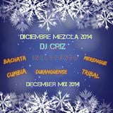 Nuevo Año Mezcla (Mixed By DJ Criz) (Bachata, Merengue, Cumbia, Tribal, Duranguense)