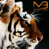 Dreams of a Tigress