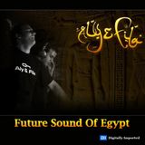 Aly and Fila - Future Sound Of Egypt 326 ( 03-02-2014 )