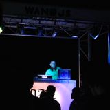 WANDJs 2015 - Cel / Passeig Electrònic