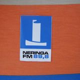 Neringos sekretas vol. 43