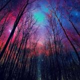 Winter 2015 Prog & Trance mix