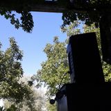 Theincult - Rave Ro 2013