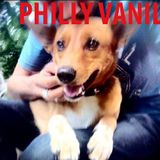 LATE SUMMER SESSION 2015 ++ by Kid Paris vs Philly Vanilli (feat lots of unreleased Music)
