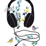 Músicas Mestizas de visita en Colombia! Sin pasaportes de la @Radio Meztiza!