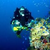 Dub Diving
