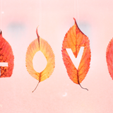 Dusty Jack - Love in Fall