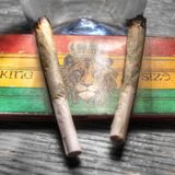 Roots Of Life pt 3 ( 70's Roots )