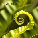 Teddy C - Unwind