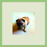 Mix 20110910 (Helpless)