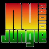 DJ Trey Arctical Show #3 with special guest ISLNDR Live on Nu Jungle Radio