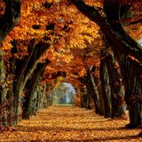 Kiwy - November Podcast (05-11-2013)