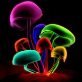 Hypnotic Hallucinations