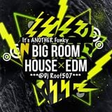 Its Another Funky BigRoom House x EDM