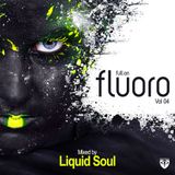 Liquid Soul full on fluoro vol.4
