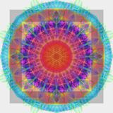 Tranceponder: Solid