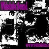Boomtown Fair Radio - The Widedubz Sound Show