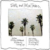 rain & palm trees