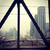 misty morning