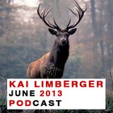 Kai Limberger Podcast June 2013