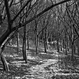 Darkcloudsarefloating (Winter 2008 Mixtape)