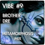 VIBE #9 - METAMORPHOSIS MIX