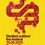 Audiofreq @ Decibel Outdoor 2015