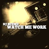 Watch Me Work (Mini Mix)