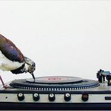 Vinyl Set - March 2015