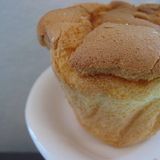 Fluffy Sponge #003
