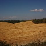 Gold Dust
