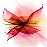 Butterfly vol.11