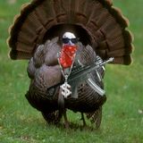 DUBSGIVING Mini-Mix