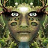 Real Eyes Realize - Psy / Dub / Tribal / Glitch Hop (432 hz)