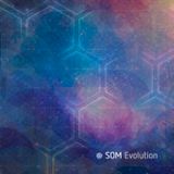 SOM - Evolution (Mix)