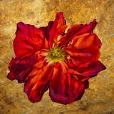A rose by any name