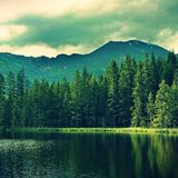 Demolisher - The Call Of The Forest (Liquid DNB Mix)