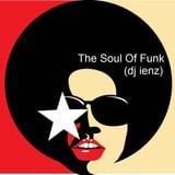 The Soul Of Funk (dj ienz)