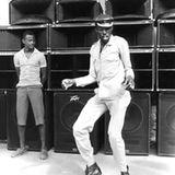 Into The Groovy - Vintage Roots Dub