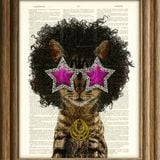 Crooklyn's Funktastic Caturday mix