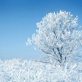Winter Session 001 (Blue Sandwich)