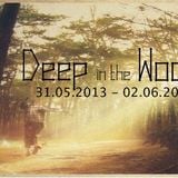 Alex Haas @ Deep in the Woods_pt.2