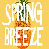 Spring Breeze